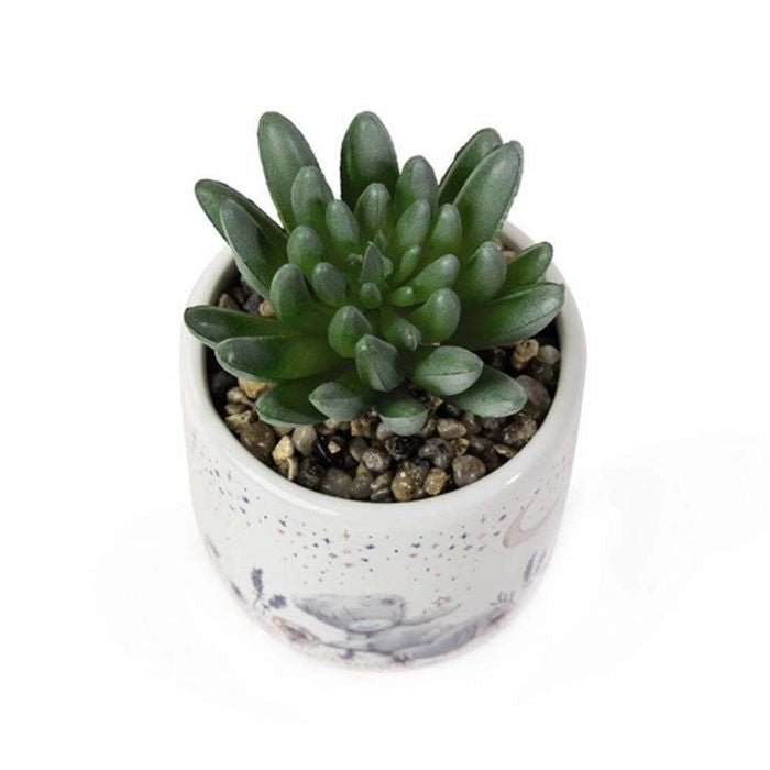 Artificial Succulent